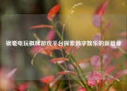 银毫电玩棋牌游戏平台探索数字娱乐的新篇章