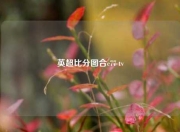英超比分图合c77 tv
