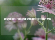 环宇棋牌平台揭秘环宇棋牌平台的精彩世界
