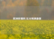 欧洲杯爆料 比分预测最新