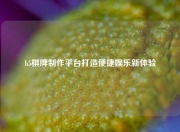 h5棋牌制作平台打造便捷娱乐新体验