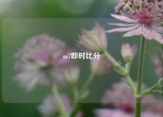 m7即时比分