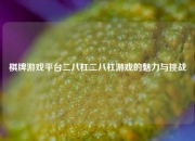 棋牌游戏平台二八杠二八杠游戏的魅力与挑战