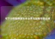 可下分的棋牌娱乐平台多元化娱乐新选择