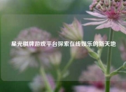 星光棋牌游戏平台探索在线娱乐的新天地