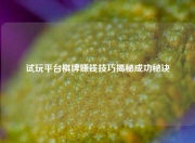 试玩平台棋牌赚钱技巧揭秘成功秘诀