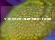 今日足球比赛比分预测把握胜算的关键因素