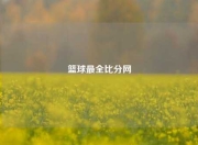 篮球最全比分网