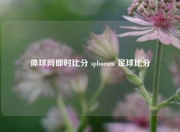 体球网即时比分 spbocom 足球比分
