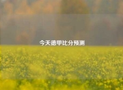今天德甲比分预测