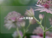 wnba比赛直播
