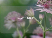 csgo比分板最快