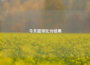 今天篮球比分结果