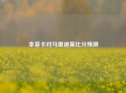 本菲卡对马里迪莫比分预测