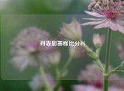 丹麦超赛程比分dS