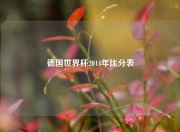 德国世界杯2014年比分表