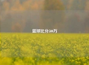 篮球比分500万