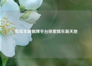 瓜瓜丰城棋牌平台探索娱乐新天地
