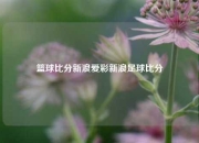 篮球比分新浪爱彩新浪足球比分