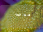 “亚冠”上海上港