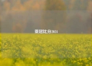 亚冠比分2024