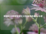 球探比分即时篮球比分官网手机版nba斗球