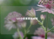 lols8小组赛赛程视频