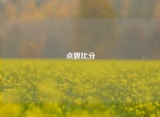 点数比分