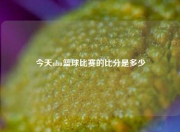 今天nba篮球比赛的比分是多少