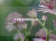 大家赢足球即时比分9oⅤs