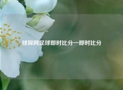 球探网足球即时比分一即时比分
