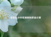 足彩比分中奖规则和奖金计算