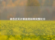混合过关计算器竞彩网完整比分