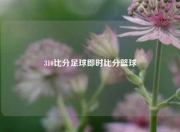 310比分足球即时比分篮球