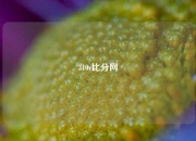 310v比分网