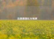 法国德国比分预测
