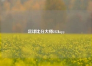 足球比分大师2021app