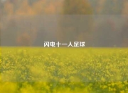 闪电十一人足球