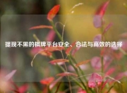 提现不黑的棋牌平台安全、合法与高效的选择