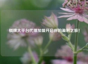 棋牌大平台代理加盟开启你的盈利之旅！
