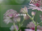 5oo比分完场