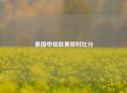 泰国甲组联赛即时比分
