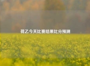 荷乙今天比赛结果比分预测