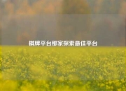 棋牌平台那家探索最佳平台