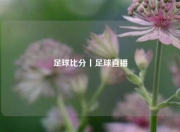 足球比分丨足球直播