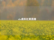nba虚拟比赛直播