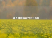 湖人雄鹿阵容对比分析图