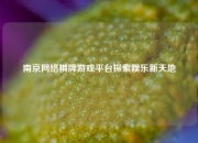 南京网络棋牌游戏平台探索娱乐新天地