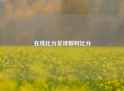 在线比分足球即时比分