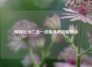 球探比分二合一旧版本的功能特点